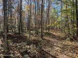523 Honey Creek Loop Rd - Photo 13
