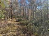 523 Honey Creek Loop Rd - Photo 18