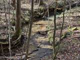 523 Honey Creek Loop Rd - Photo 2