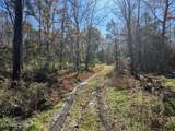 523 Honey Creek Loop Rd - Photo 21