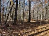 523 Honey Creek Loop Rd - Photo 3