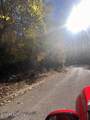  Anchor Lane - Photo 8
