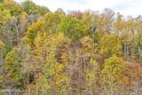 Lots 1 2 3 Timber Grove Rd - Photo 3
