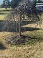 1117 Chesty Puller Circle - Photo 19