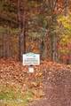 104 Azalea Lane - Photo 31