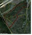 6.70ac Wet Mill Creek Rd - Photo 45