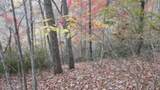 Lot 349 Drew Court - Photo 29