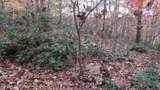 Lot 349 Drew Court - Photo 8