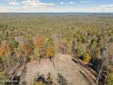  Sheep Ranch Rd. - Photo 11