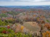 4231 Sweetwater Vonore Rd - Photo 14