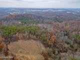 4231 Sweetwater Vonore Rd - Photo 17