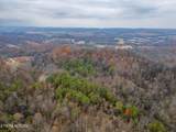 4231 Sweetwater Vonore Rd - Photo 20