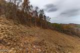 4231 Sweetwater Vonore Rd - Photo 48