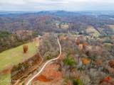 4231 Sweetwater Vonore Rd - Photo 5