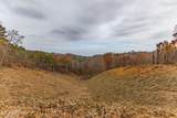 4231 Sweetwater Vonore Rd - Photo 50