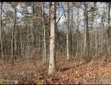  Eagle Bluff - Photo 31
