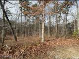  Eagle Bluff - Photo 33