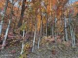  Big Ridge Rd - Photo 10