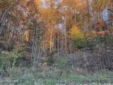  Big Ridge Rd - Photo 11