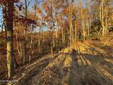  Big Ridge Rd - Photo 24