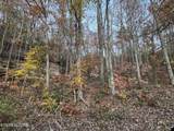  Big Ridge Rd - Photo 8