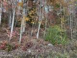  Big Ridge Rd - Photo 9