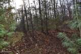 Lot 4 Shotgun Annie Rd - Photo 10