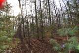 Lot 4 Shotgun Annie Rd - Photo 11
