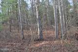 Lot 4 Shotgun Annie Rd - Photo 39