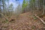 3.64 acres Open Range Rd - Photo 13