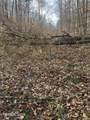  Mt Olive Rd Rd - Photo 11