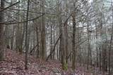  Laurel Rd - Photo 11