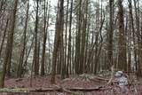  Laurel Rd - Photo 12