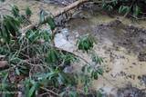  Laurel Rd - Photo 15