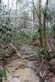  Laurel Rd - Photo 17