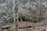  Laurel Rd - Photo 8