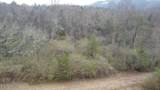 83.8 acres Millers Cove Rd - Photo 10