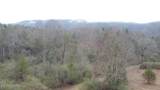 83.8 acres Millers Cove Rd - Photo 2