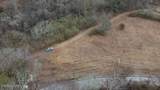 83.8 acres Millers Cove Rd - Photo 4