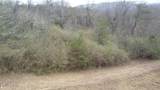 83.8 acres Millers Cove Rd - Photo 6