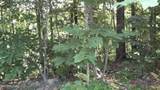 13.87ac Pleasant Cemetery Lane - Photo 10