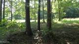 13.87ac Pleasant Cemetery Lane - Photo 17