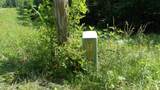 13.87ac Pleasant Cemetery Lane - Photo 25