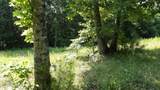 13.87ac Pleasant Cemetery Lane - Photo 28