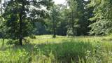 13.87ac Pleasant Cemetery Lane - Photo 6