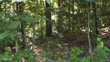 13.87ac Pleasant Cemetery Lane - Photo 9