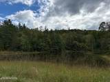  Lot 113 Bear Den Tr - Photo 5