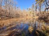  Laurel Bluff Rd - Photo 19