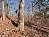  Laurel Bluff Rd - Photo 28