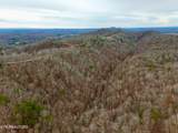  Laurel Bluff Rd - Photo 56